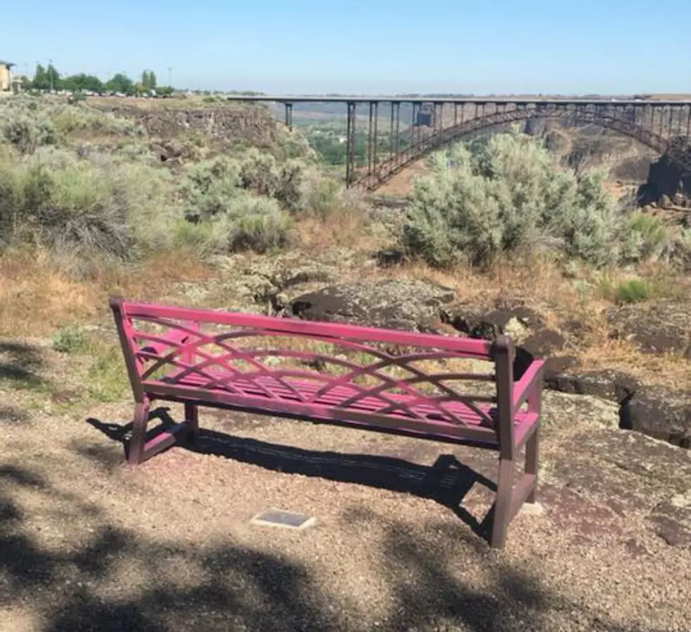 Someone In Twin Falls Is Tagging Our Beautiful Canyon Trails