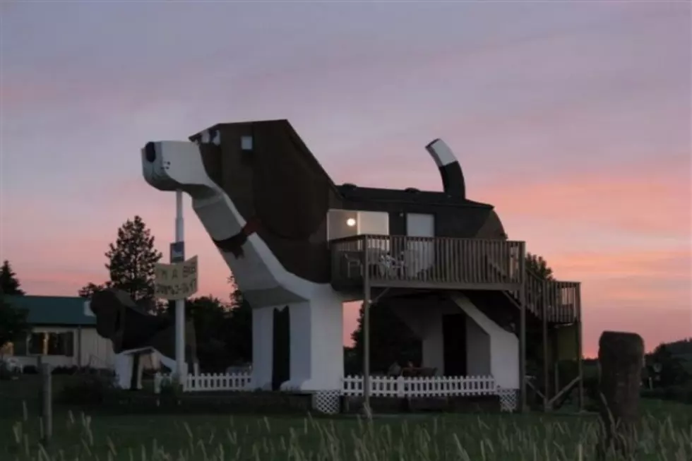 This Idaho Dog-Themed Inn Is Licking The Competition