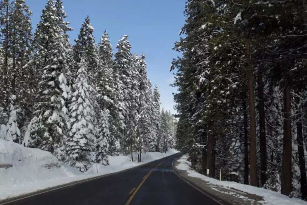 Changing Idaho Forecast Makes This Weekend Ideal For Tree Hunting