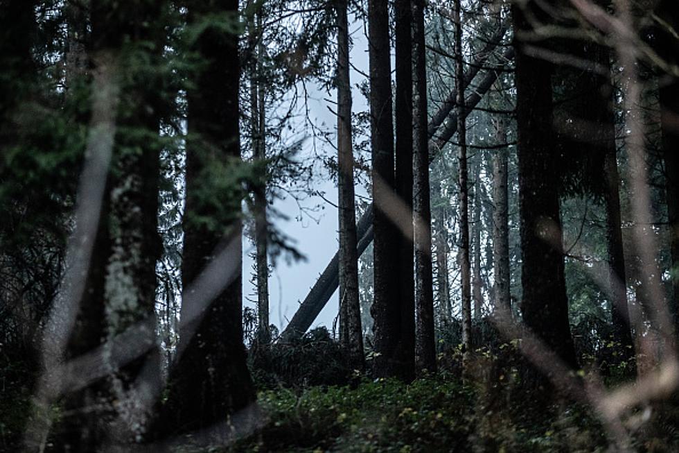 Recent Bigfoot Sighting Witnessed by Two Campers North of Boise