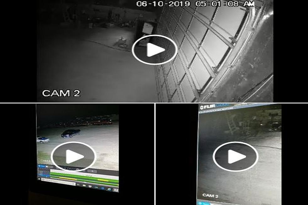 Video Shows Thieves Robbing Twin Falls And Cassia County Shops