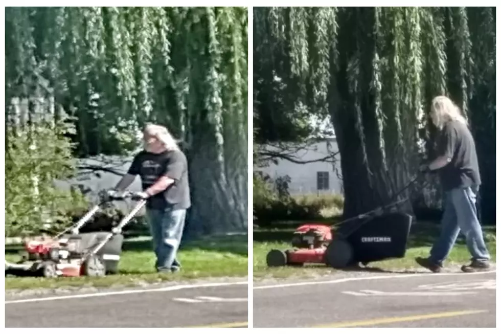 Twin Falls Famous Look-A-Like; David Crosby Spotted Mowing Lawn