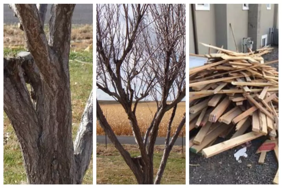 These People In Twin Falls County Are Offering Up Free Firewood