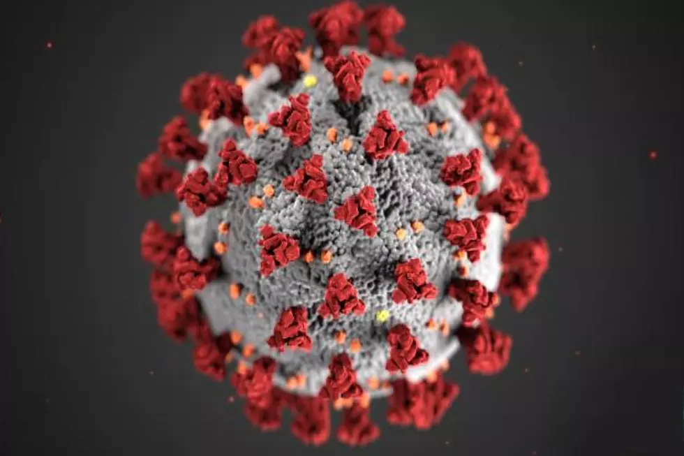 First State Coronavirus Case Confirmed In Southwest Idaho