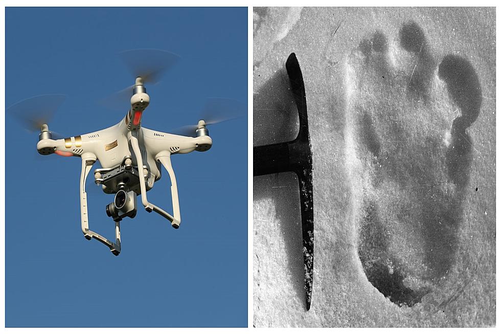 U.S. Bigfoot Organization To Expand Search With Calif Drone Maker