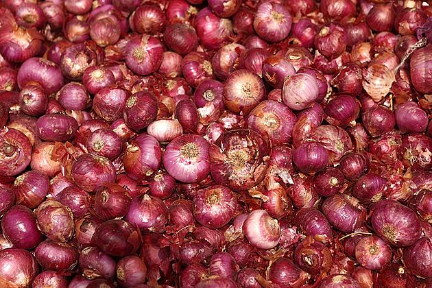RECALL: Onions Likely Source Of Multiple Idaho Salmonella Cases