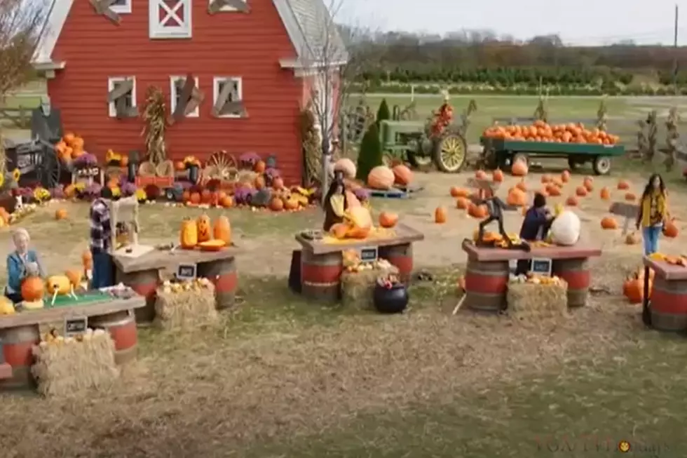 Southwest Idaho Woman On Food Network Pumpkin Carving Show