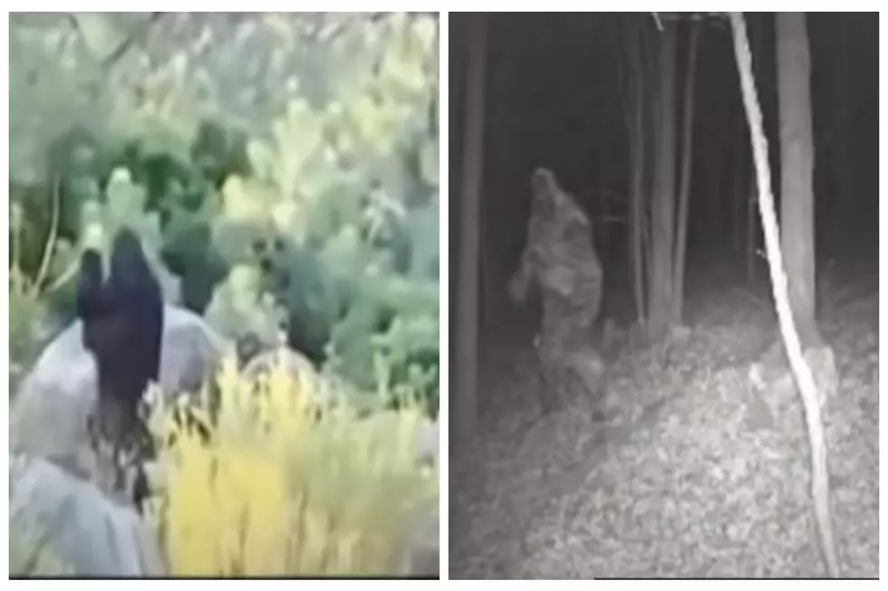 Idaho Baby Bigfoot Video Examined In New State Sightings Podcast