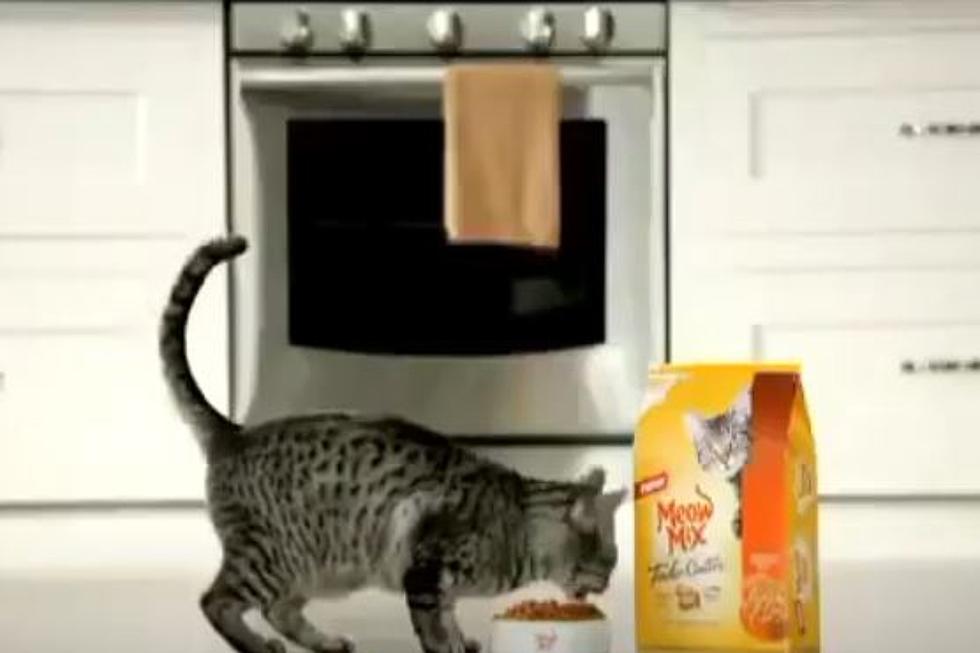 RECALL: Meow Mix Dry Cat Food May Have Potential Salmonella Link