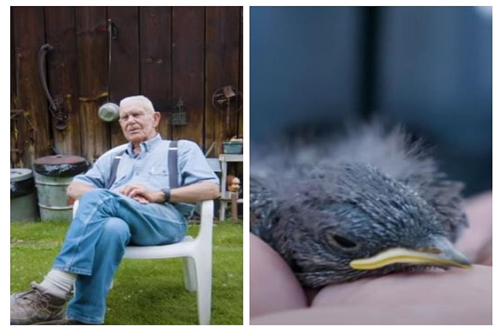 A True Gem Of The State: Idaho’s “Bluebird Man” Is 99-Years-Old