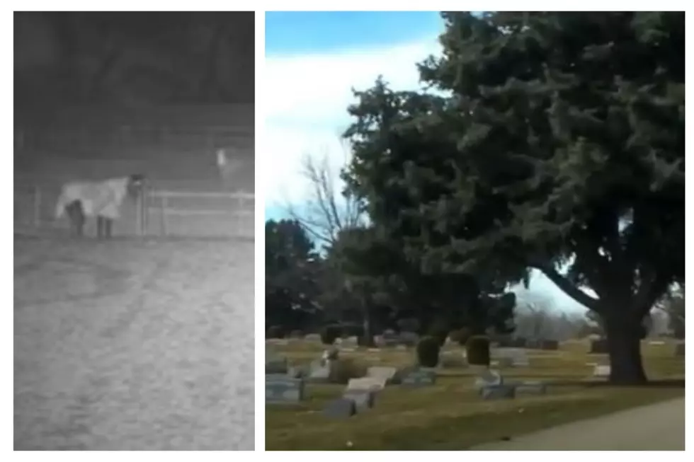 Ghost Of Horse Said To Wander Cemetery 130 Mi From Twin Falls