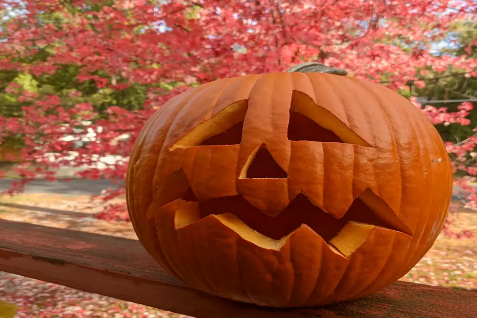 How Your Leftover Twin Falls Pumpkins Can Benefit Others