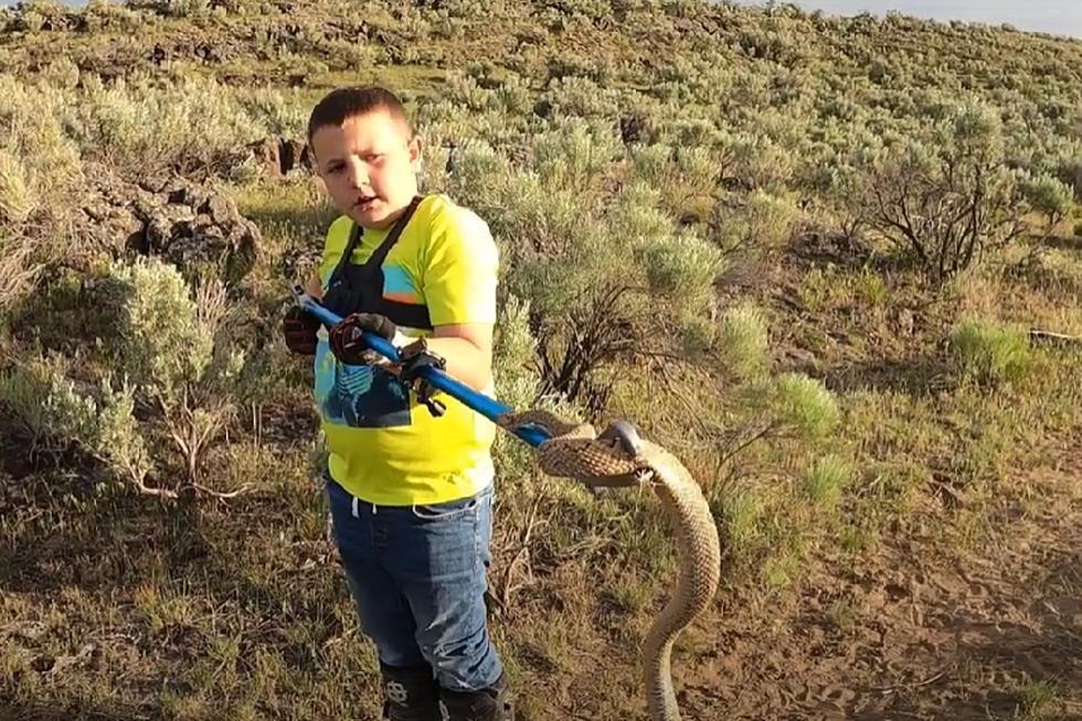 Fearless Kid Is The Crocodile Dundee Of Snake Wrangling In Idaho
