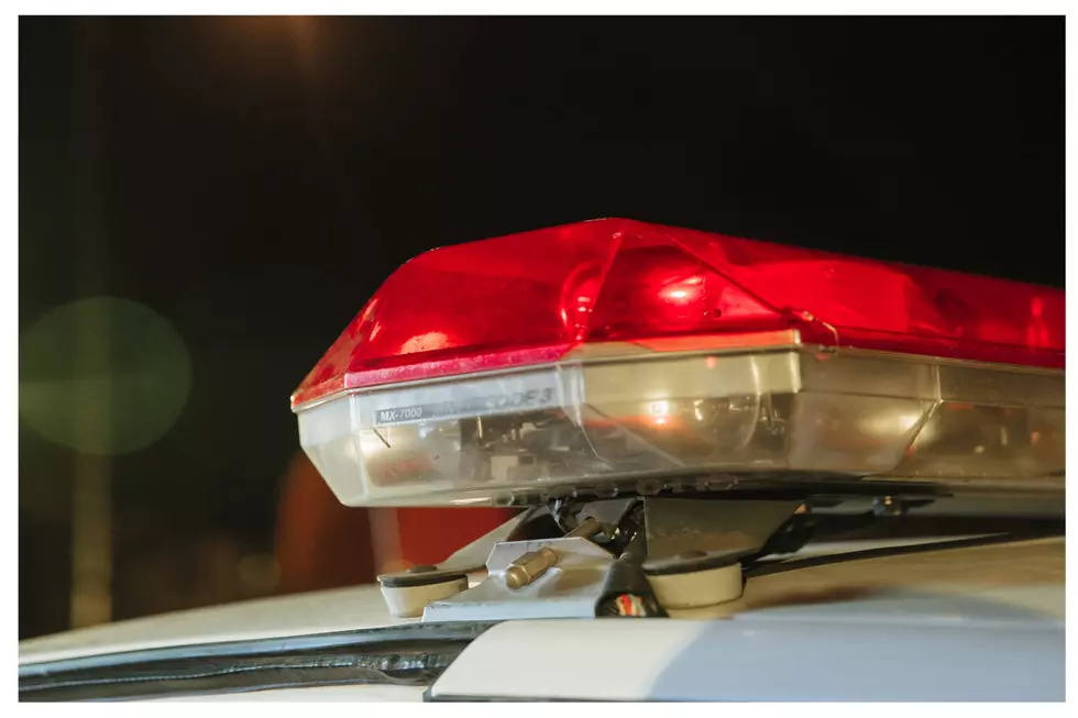 Idaho Drivers Be On Lookout For Dogs That Survived Fatal Crash