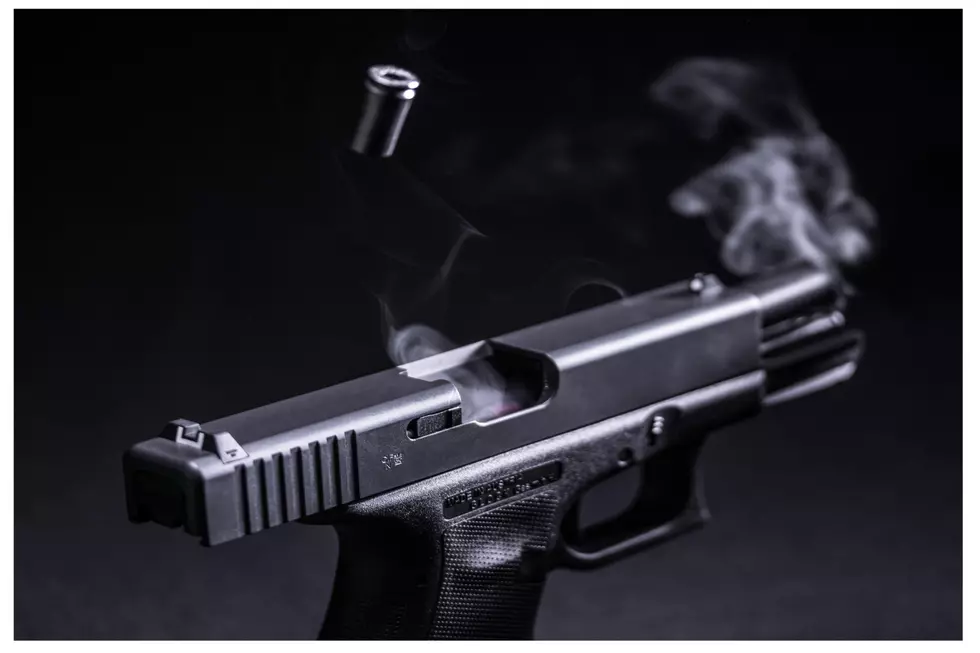 Shoot First, Ask Questions Later; Data Refutes Idaho Cops Mindset