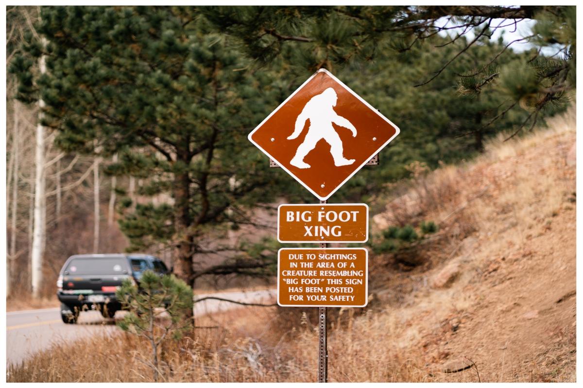 Renowned Bigfoot Analyst Details Two Recent South Idaho Sightings