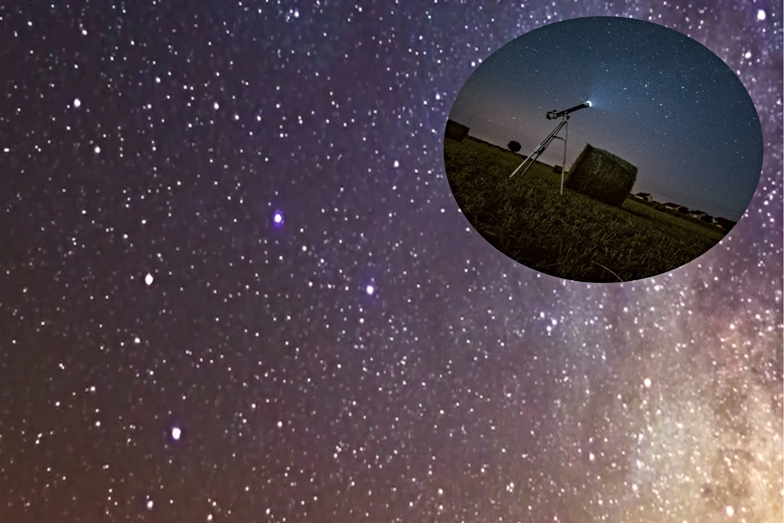 theGazettE BLACKMORAL NILDUE/NILUN 六芒星 theGazettE BLACKMORAL NILDUE/NILUN 六芒星 theGazettE BLACKMORAL