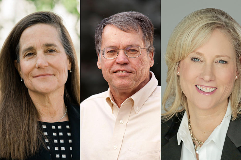 Meet The 3 Fort Collins Mayor Candidates