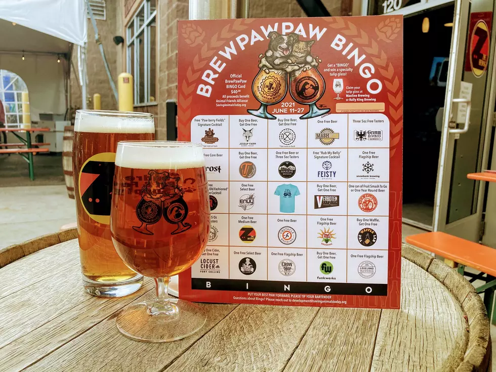 BrewPawPaw Bingo Brewery Crawl Benefits Local Animal Shelter