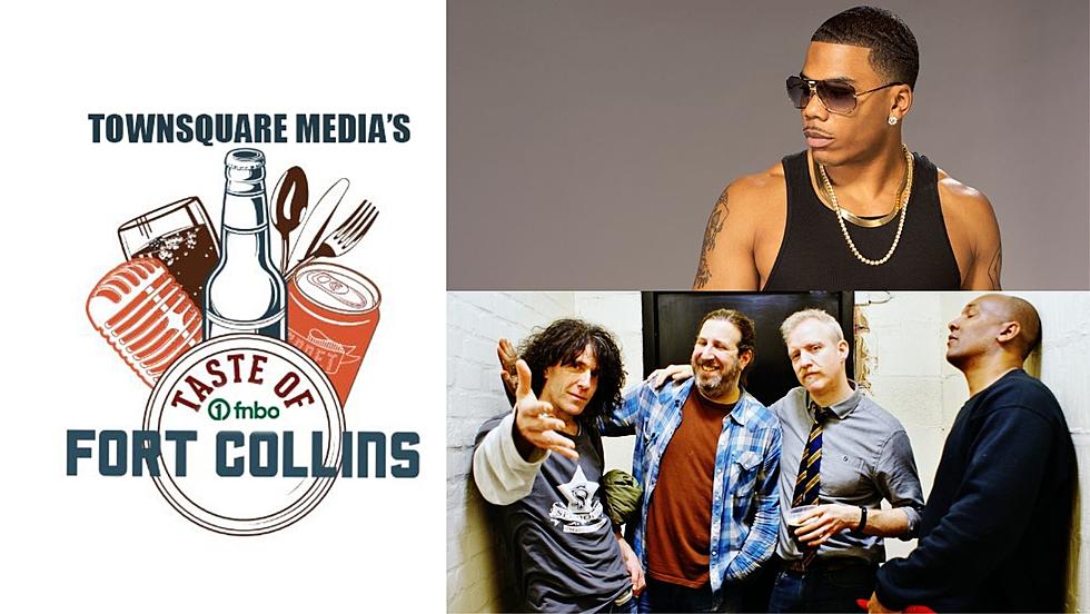 Townsquare Media Announces the Taste of Fort Collins 2021 Ft. Nelly and Spin Doctors