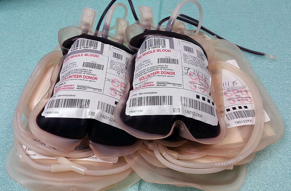 World Blood Donor Day Is June 14: Help Save Lives at The Human Bean