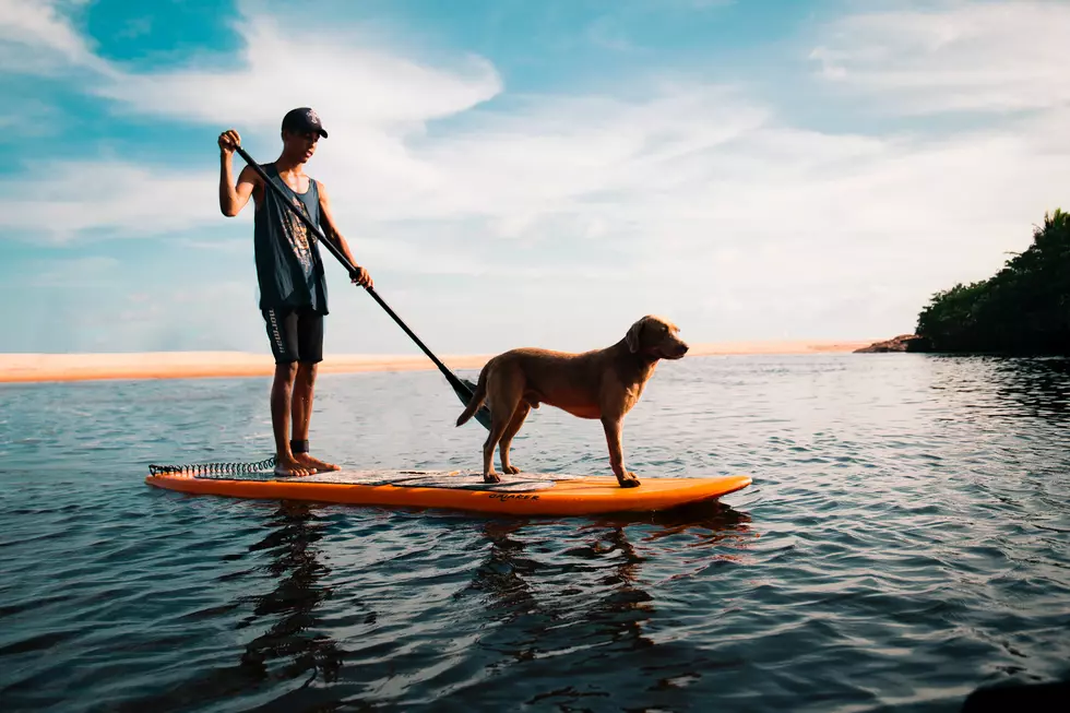 Marco Lopez/Unsplash