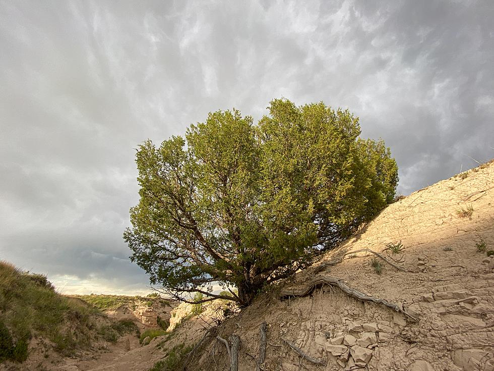 Colorado Deputies Plead with &#8216;Crazy Man&#8217; in the Prairie