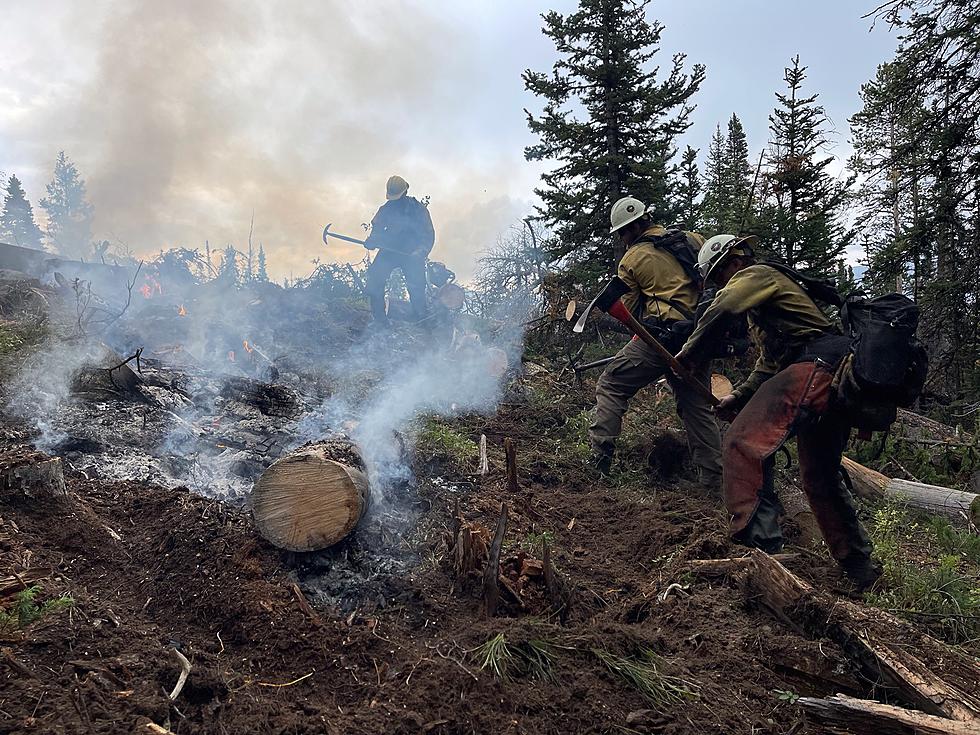 Grand County’s Black Mountain Fire Is Almost Fully Contained