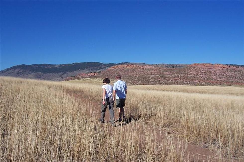 Bobcat Ridge Natural Area Set to Reopen Following Cameron Peak Fire Closure