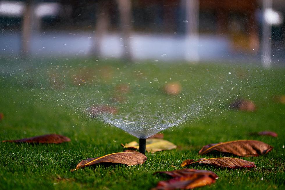 Save That Water: City of Fort Collins Says Sprinklers Should Be Off by October