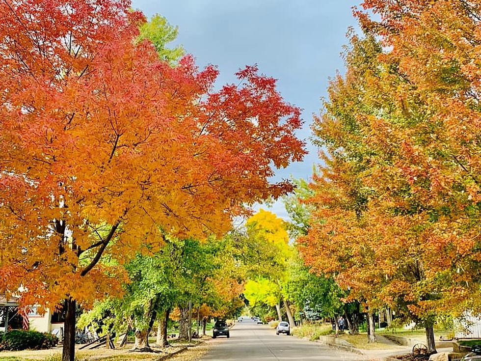 Colorado Residents Share Their Beautiful Fall Color Photos