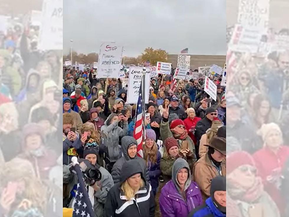 Mask Mandate Protest: Have COVID Numbers Actually Changed in Larimer County?