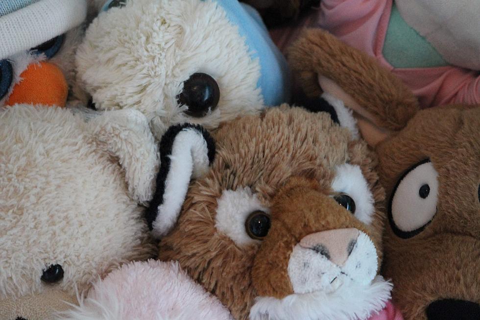 The Colorado Eagles’ Teddy Bear Toss is Almost Here, Here’s Everything You Need to Know