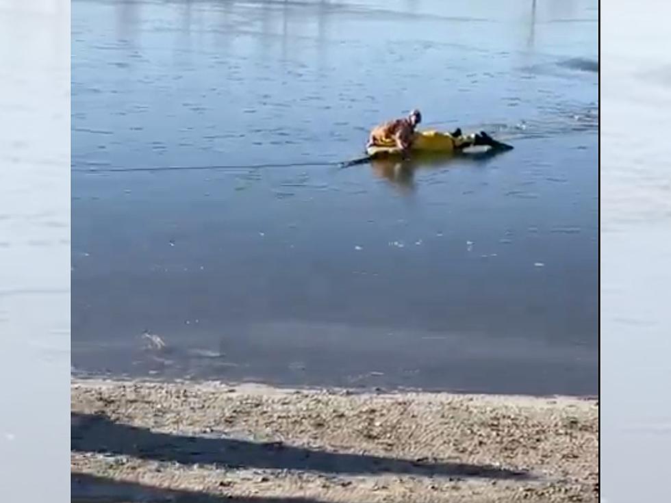 Poudre Fire Authority Rescues Fort Collins Dog Stranded On Icy Lake