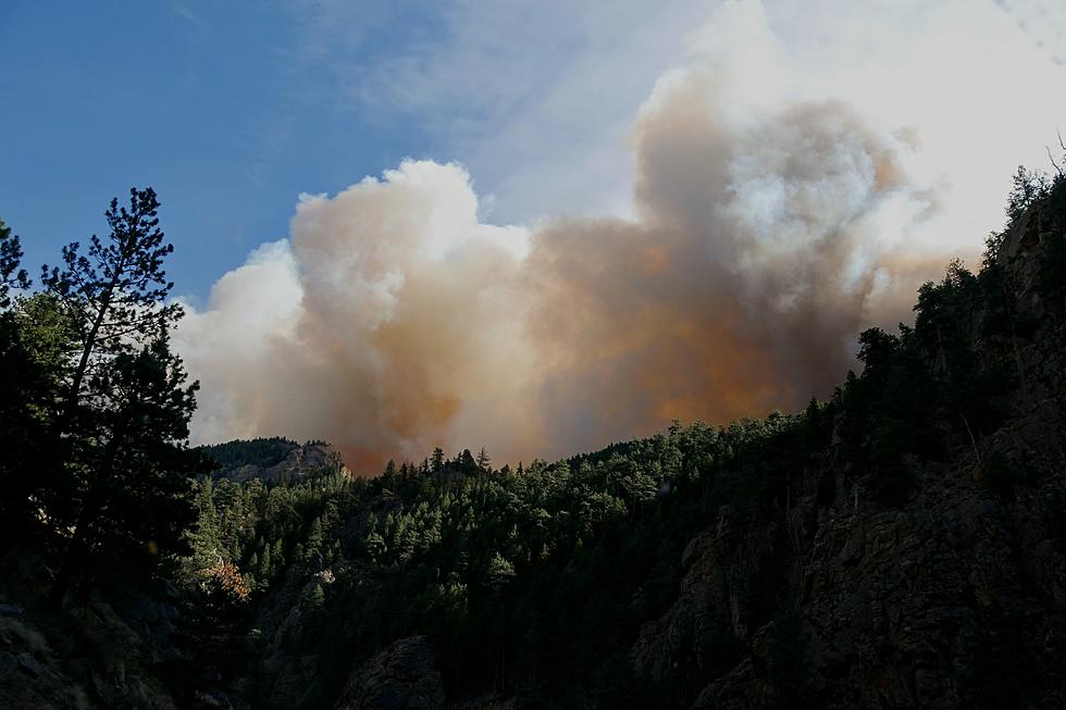 What is Northern Colorado’s Fireforest?