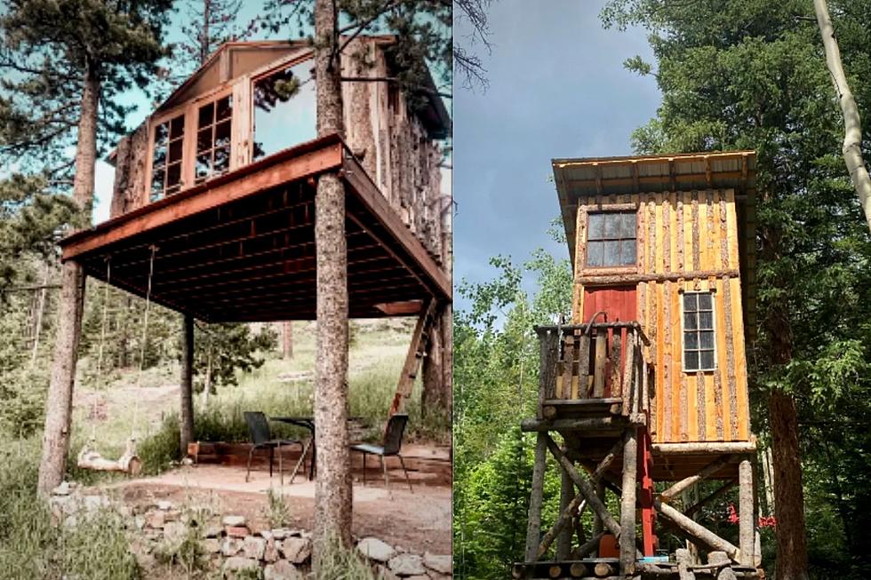 Camp Overnight in These Rustic Forest Treehouses in Colorado