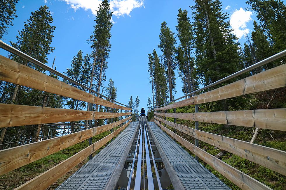 Take a Ride on These Colorado Alpine Coasters