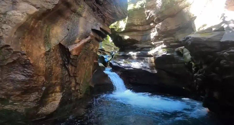 Colorado&#8217;s Lower Bear Creek Preserve is a Magical Woodsy Paradise