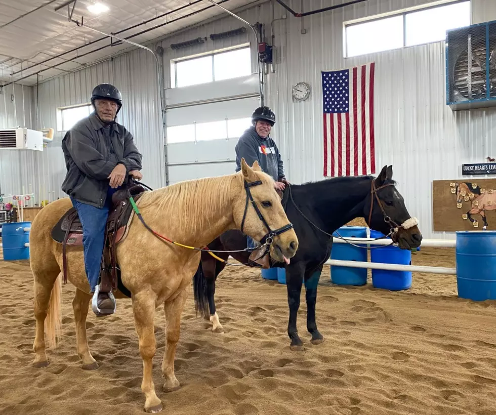 Hearts and Horses: Why Therapeutic Riding is so Helpful