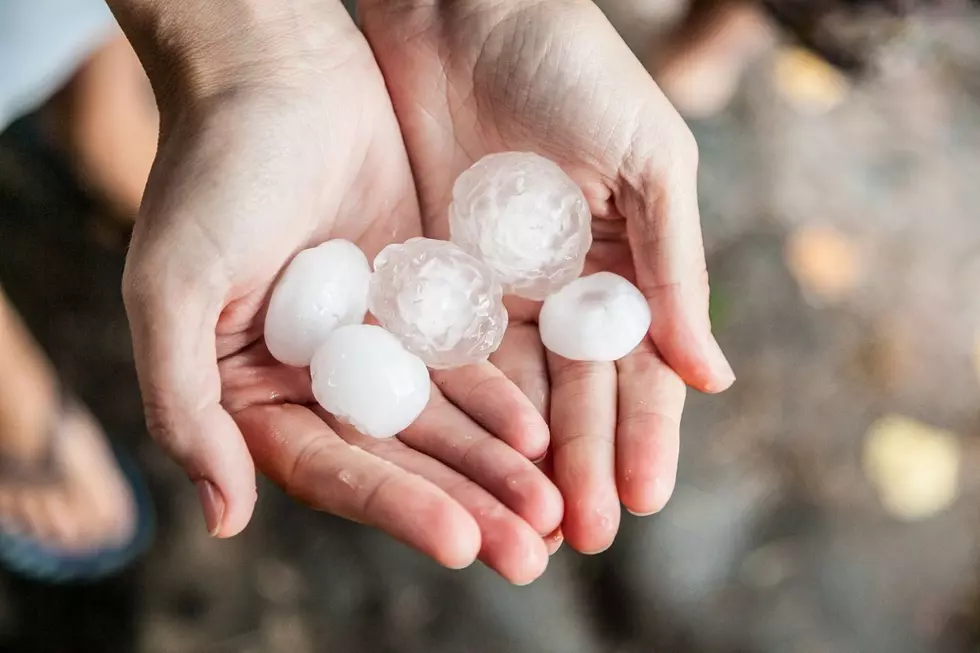 The Worst Hailstorms in Larimer County History
