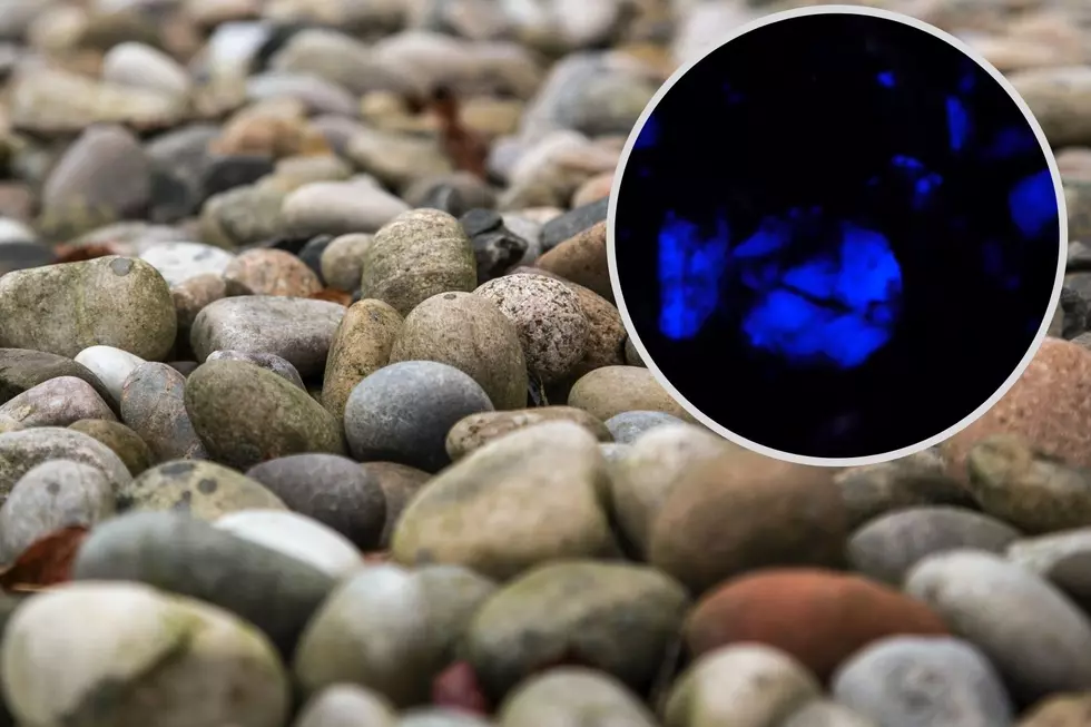 Glowing Minerals Are a Fascinating Find for Colorado Rockhounds