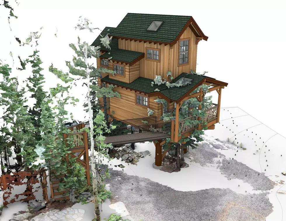 Check Out the Treehouse a Colorado Company is Building