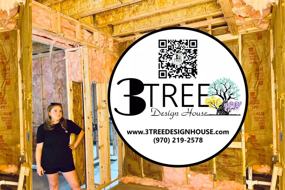 NoCo Business Spotlight: 3 Tree Design House Empowers Northern Colorado Homeowners