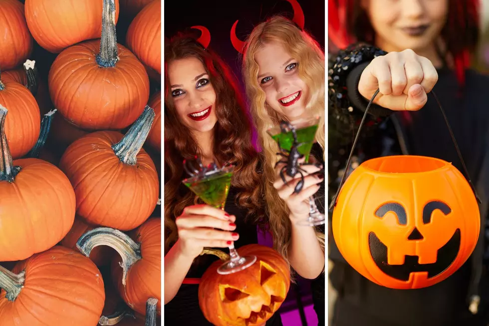 12 Halloween Events You Won't Want to Miss in Northern Colorado