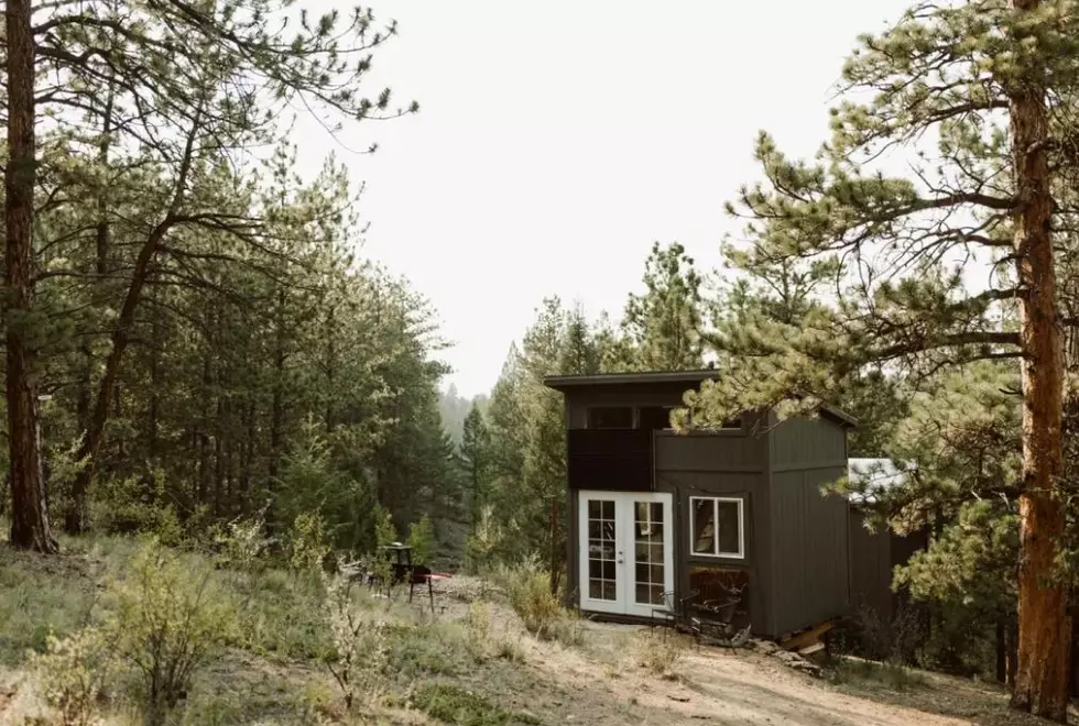 Rustic Colorado Artist’s Cabin is the Ultimate Place to Recharge