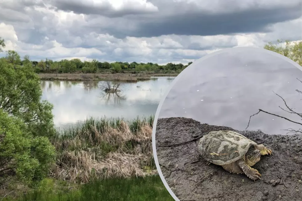 Fort Collins Ranger Shares Some of the Dept.’s Wildest Encounters