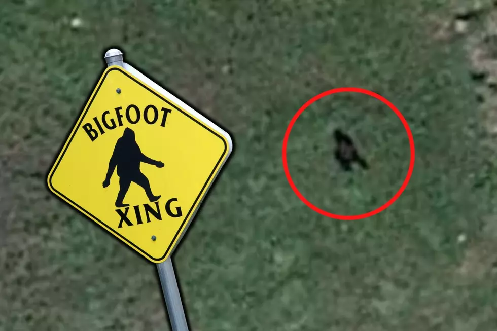 See That Spot? Some People Think It’s Proof of Bigfoot in Colorado