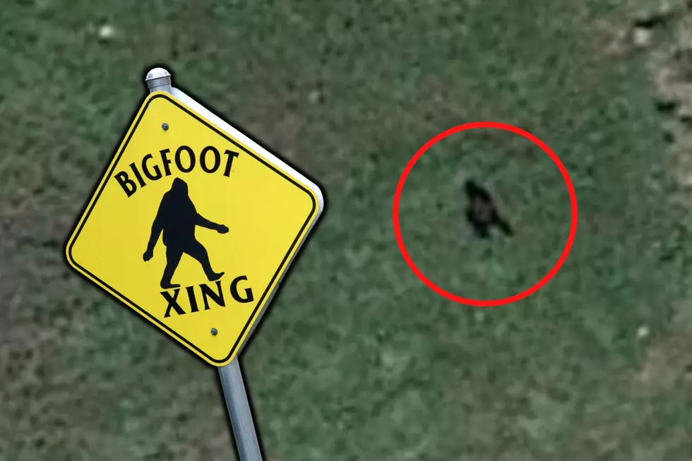 See That Spot? Some People Think It&#8217;s Proof of Bigfoot in Colorado