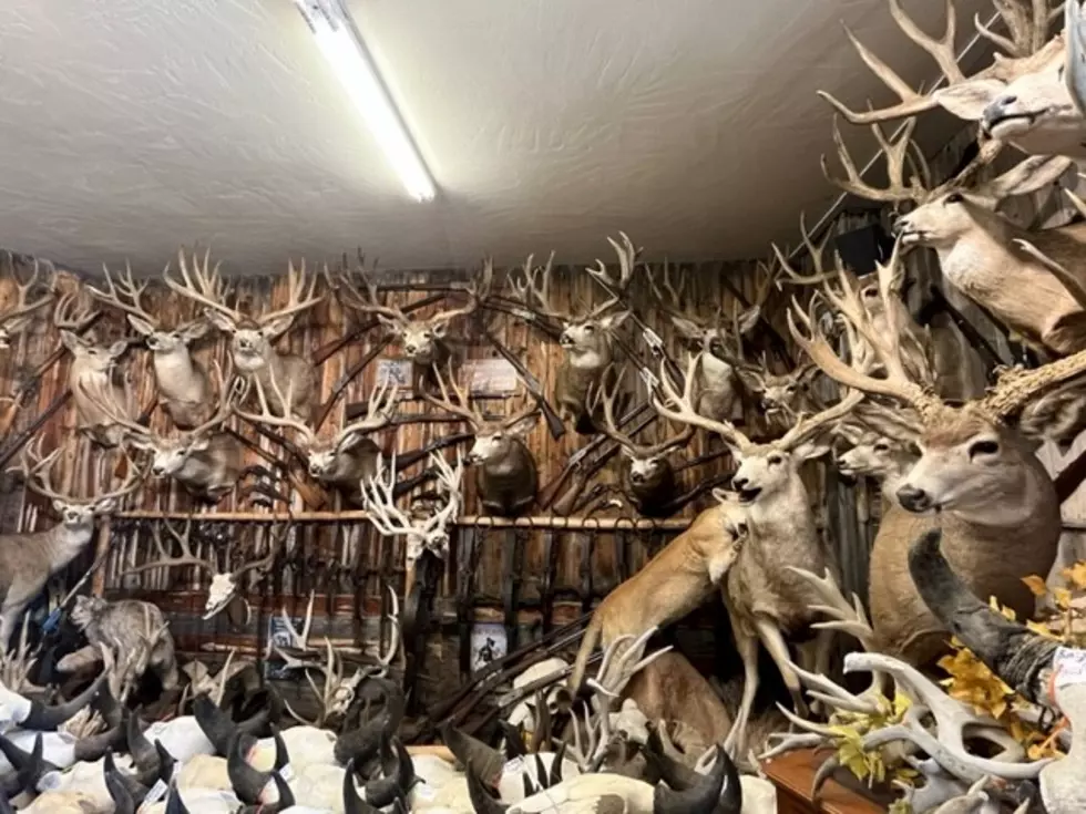 This Unique Store in Gunnison, Colorado is a Must-See 