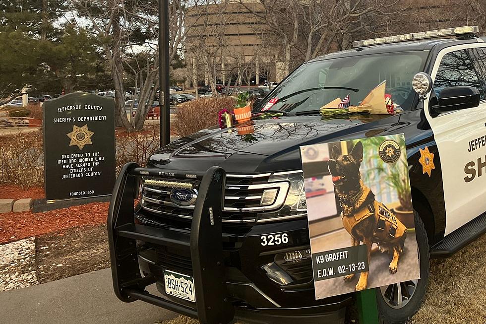 WATCH: CSU Honors Beloved Fallen Colorado K9 With Procession